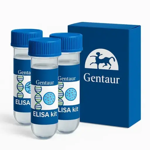 Bovine Mycobacterium tuberculosis Anticorps ELISA Kit - 96 tests