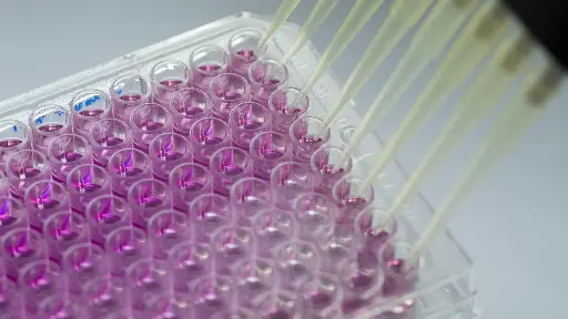 hMPV ELISA Kit