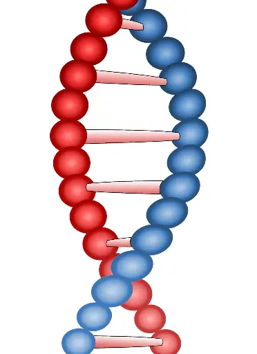 Comprehensive Proteogenomics Analysis with ProteoAnnotator